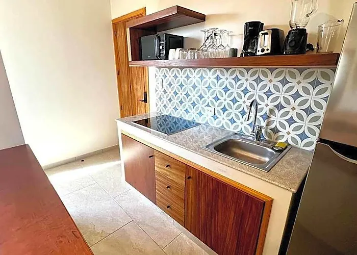 Hotel Spacious Penthouse With Pool 4*